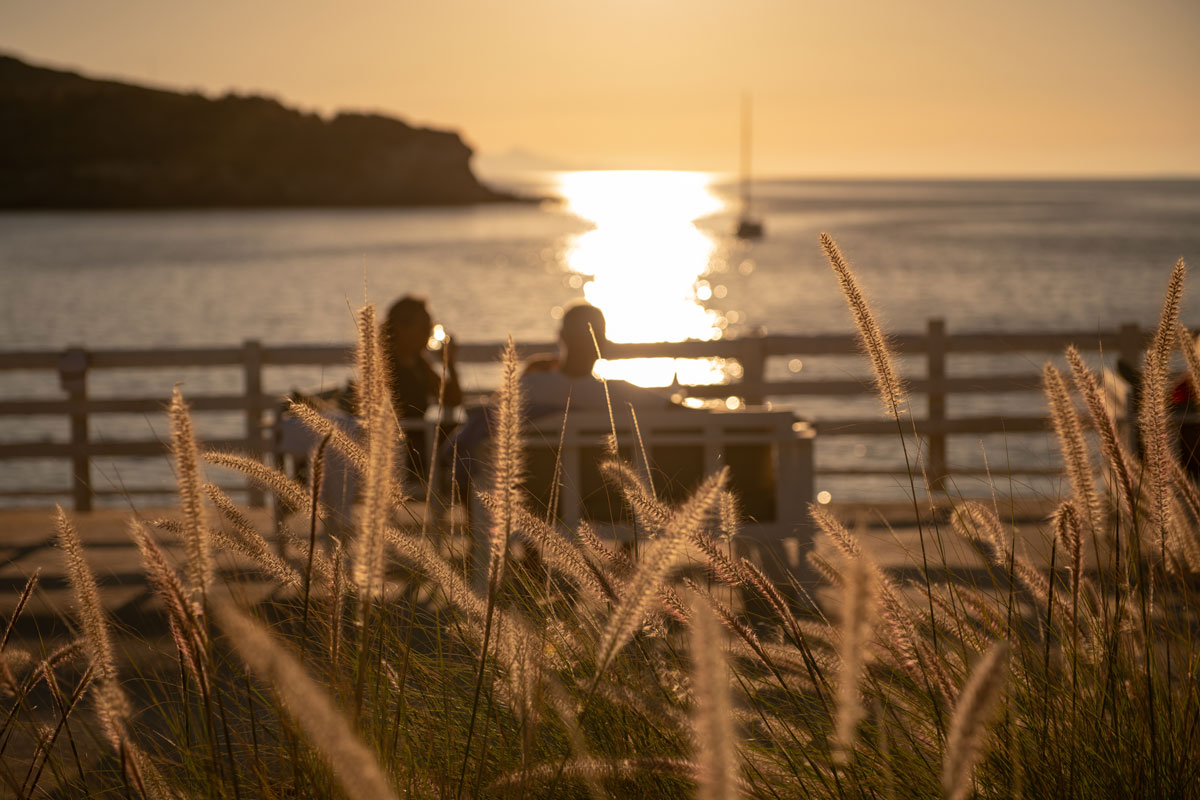 Sunset Antiparos | Restaurant in Antiparos, Greece | Photograph with feathery bush plants in foreground and people sitting looking out at the sunset on the beach in the background